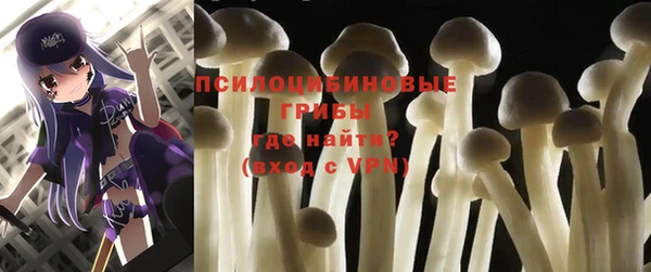 ешки Абдулино