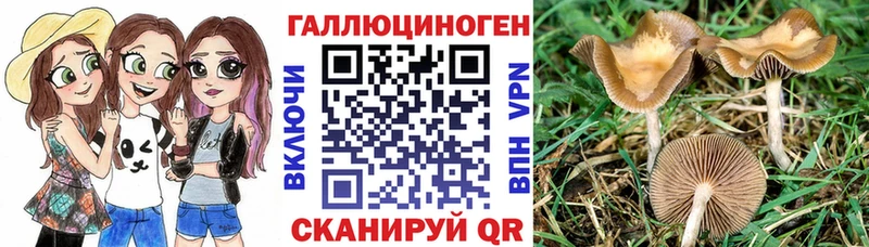 Галлюциногенные грибы MAGIC MUSHROOMS  Щучье 